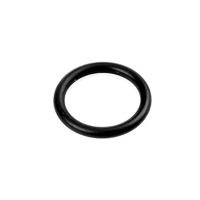 Уплотнительное кольцо 15,3x2,4-FPM 70